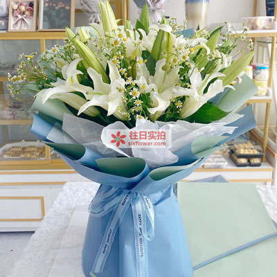 鹰潭8支白色多头百合洋甘菊，互倾的思念